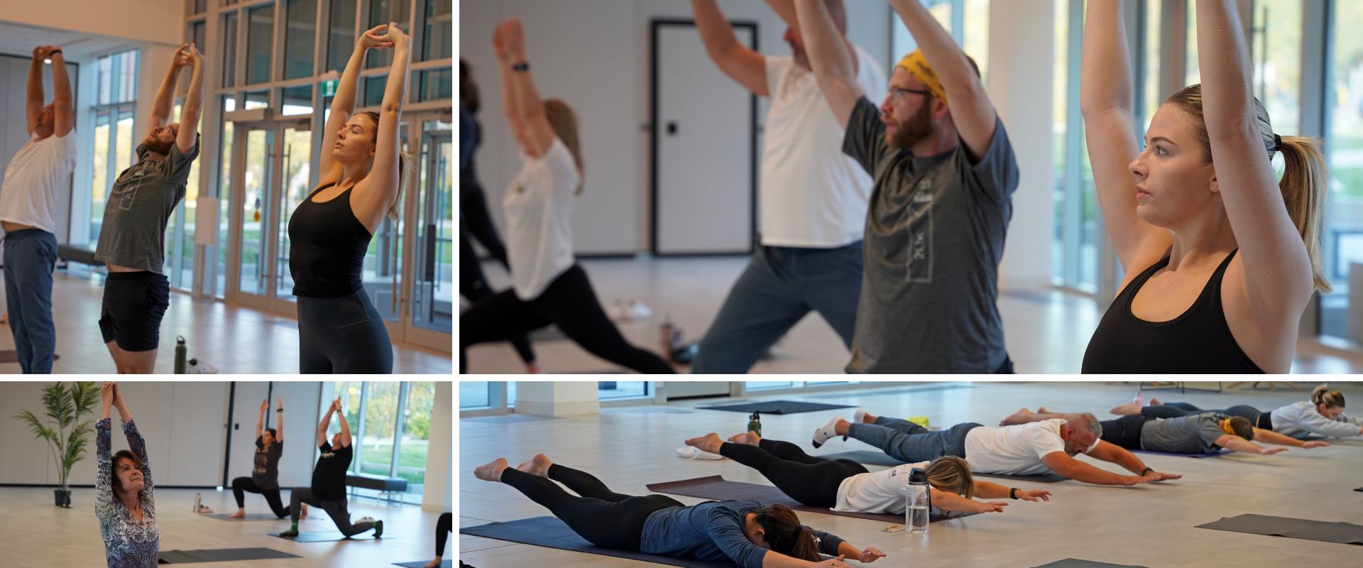 Collage of four images showing different Cultivator company team members doing different yoga poses.