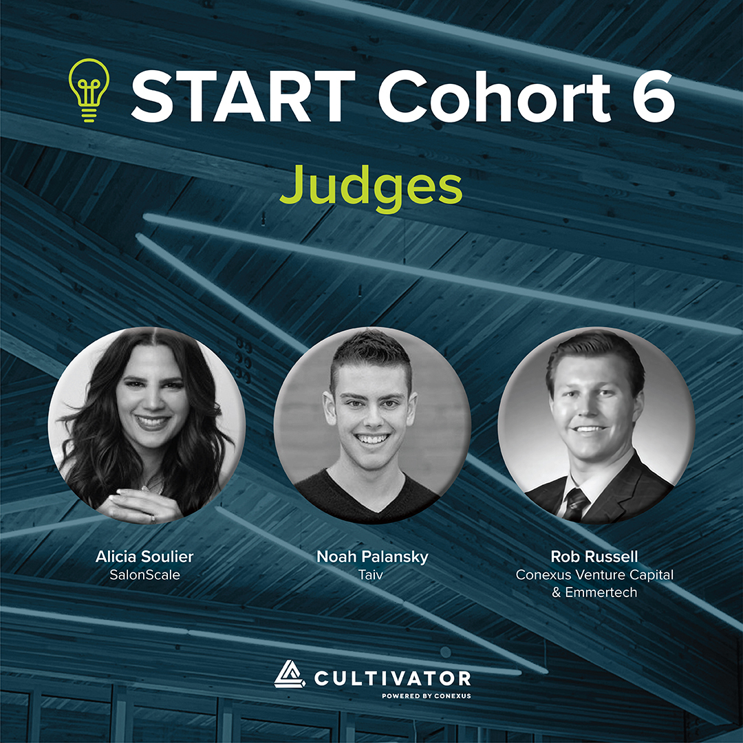 START C6 - JUDGES