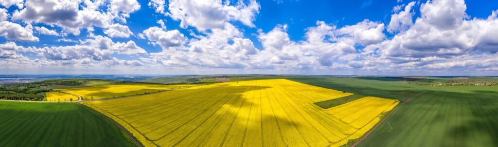 agtech accelerator