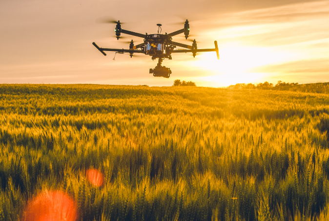 drone in field