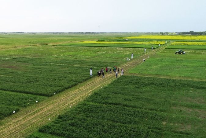 DiscoveryFarm Crop plots