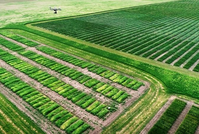 Photo of drone flying over Saskatchewan field.