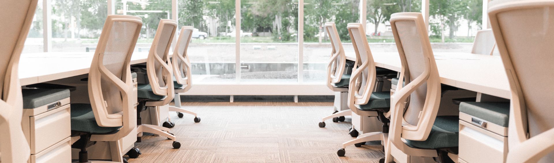 Cultivator Cultivate your career in tech